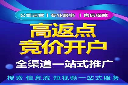 百度推广开户成功案例深度剖析